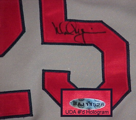 Name:  mcgwire_gameused_2000_jersey_sig.jpg
Views: 3764
Size:  56.8 KB