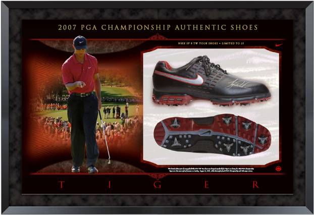 Name:  tiger_woods_shoes.jpg
Views: 351
Size:  37.6 KB